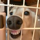 yumufumu ( yumufumu2 )