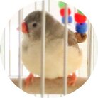 Beautiful Seashore  ( marine7136 )