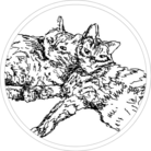 ほねこと ( hoo_ )