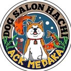 メダカ屋AQUA CLUB （ACK メダカ） ( ack_medaka )