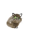 manachaaan｜ねこ暮らしのらくがき帖 ( manachaan )