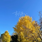 すがあい ( sugar_7 )