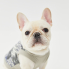 まくらさん ( makura_bang )