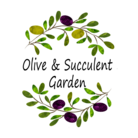 Olive&SucculentGarden ( oliveandsucculentgarden )