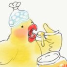中田サユリリイ ( NakataSayulily )