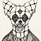チワワランド ( Chihuahualand )