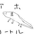 こたつくろ ( ko_tatu_kuro )