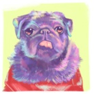 りょうこのパグ屋 ( x_xmargaritax_x )