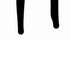 inu no e ( no-ill )