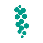 へんざ海ぶどう ( Henza_umibudou )