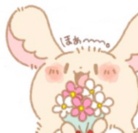 チンチラさん。 ( momokauzuki )