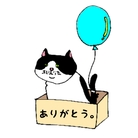 箱入りハチワレ猫　みょん ( myon-myon-myon )