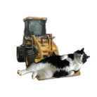 KichiMaru（丸吉） ( Bainyao )