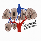 ah-mi!medica ( ah-mi )