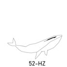 52-HZ  whale ( 52-HZ )