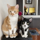 suzuneko_23 ( suzune_23 )