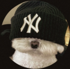 イッヌのお店 ( sussy_ohio )