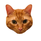 ぼくのなまえはシュークリーム ( chuox )