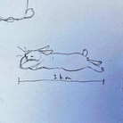 はっさく屋さん 支店 ( f65hsk )