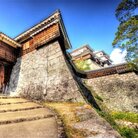 リュウ サカ ( japan_item )