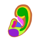 sound blast ( hear )