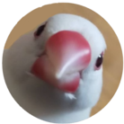 シフォンのごはん屋さん ( mitsukashop )