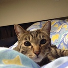 toka_forgole_and_key ( toka_m )