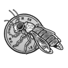 INVEST-LIGHT ほたるのお店 ( invest-light )