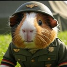 突撃♡モルモット大佐 ( MolSoldier )