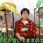 かめんちゅ(亀人) ( kamekameshop )