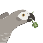 もめんどうふ ( momen102 )