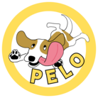 Aruna with Degu and Beagle ( Aruna_Shumi )