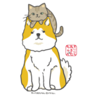 まいにちあきたちゃんとネコ ( nekodake )