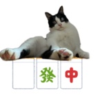 猫と麻雀🐈 ( Cat_mahjong )