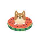 うちのわんこ ( uchino-wanko )