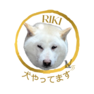 RIKI’S SHOP ( rikinoshop )