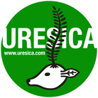 uresica