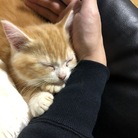 まん太商店 ( Mantas )