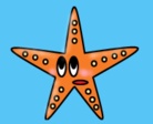 TAAA official store ( TAAA )