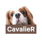 CavalieR【キャバリアール】 ( CavalieR )