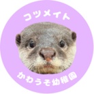 かわうそ幼稚園〜コツメイト〜 ( Otter-kindergarten )