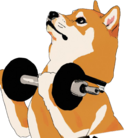 パンプアップ柴Hachi ( shiba_hachi )