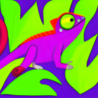 FUNIFUNI