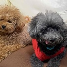 れおん&ぷりんす倶楽部 ( MKBgroup )