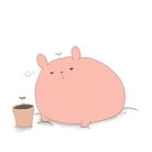 みみたぶとほっぺたん ( mimi-hoho )