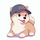 柴犬らっくのお店 ( luckwoo )