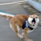 ビュンビュン ( BYUNBYUNBYUNBY )