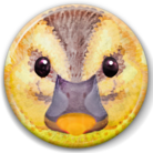 身近な生き物語　@naturaloop ( naturaloop )