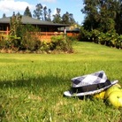 ぶどうのはな ( Aina-psalm34 )