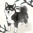 ゆうゆうショップ ( yuukic307 )